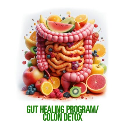 Gut Healing Program Colon Detox