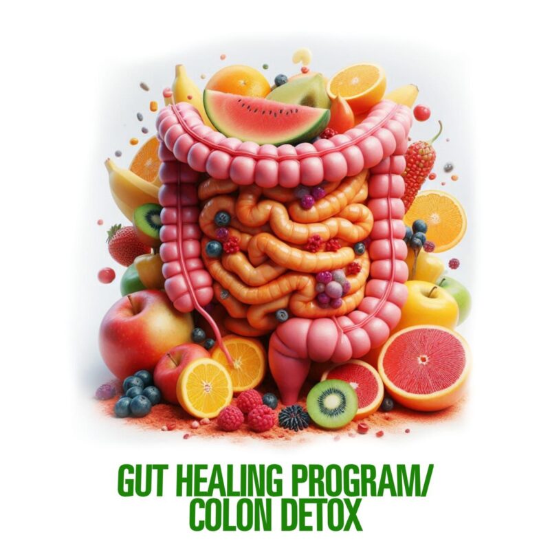 Gut Healing Program Colon Detox